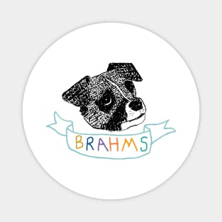 Lil Baby Brahms in Color Magnet